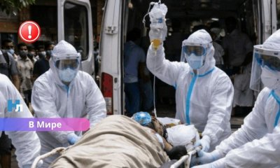 Смертельно опасный вирус Нипах распространяется в Индии: есть ли реальная угроза для Латвии?