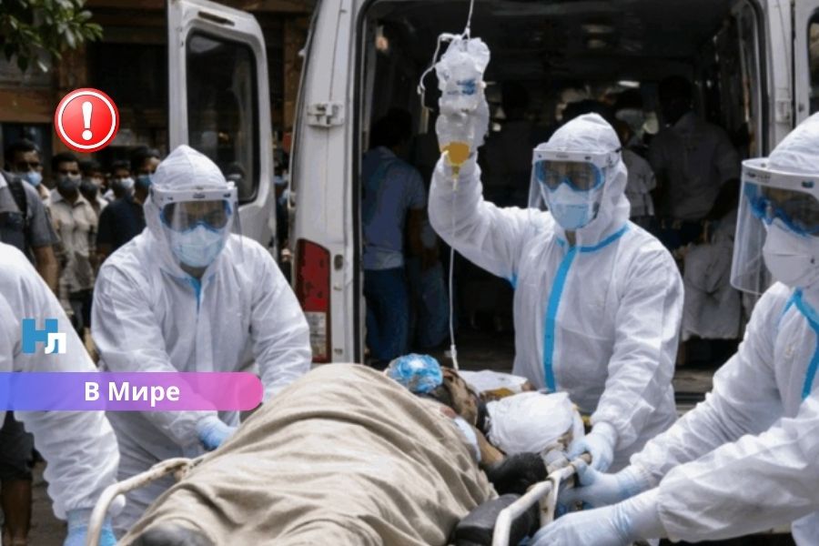 Смертельно опасный вирус Нипах распространяется в Индии: есть ли реальная угроза для Латвии?