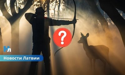 Охота с луком: в Латвии снова обсуждают закон.