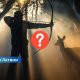 Охота с луком: в Латвии снова обсуждают закон.