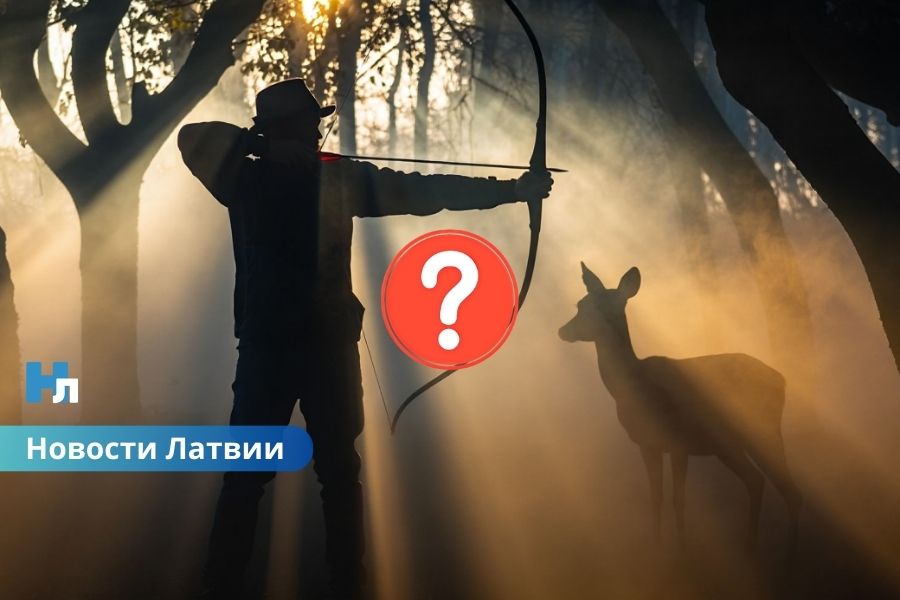Охота с луком: в Латвии снова обсуждают закон.