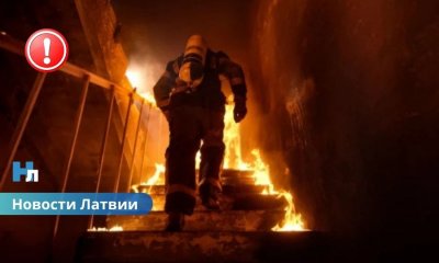 Январь побил тревожный рекорд: число заявок на компенсации после пожаров выросло почти на 300%.