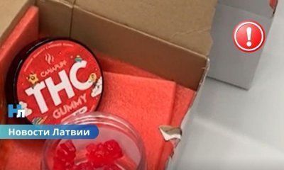 Наркотики под видом сладостей и чая: в Латвии фиксируют тревожный рост онлайн-торговли запрещёнными веществами.