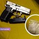 241 грамм амфетамина и кража в Даугавпилсе: задержан житель Аугшдаугавского края.