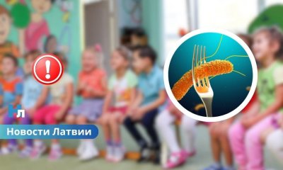 🚨 Вспышка сальмонеллёза в Риге: более 120 заболевших, дети в больнице — что происходит в детсадах.