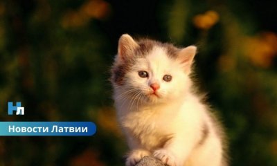 🌡️ В Латвии зафиксирован температурный рекорд для 9 марта.