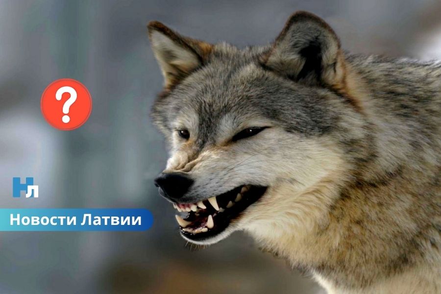 Новости Латвии