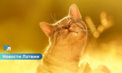 На следующей неделе потеплеет до +15 градусов и выше.
