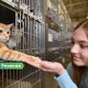 Им нужен шанс: в приюте Резекне десятки животных ждут своих хозяев.