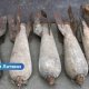 В Риге во дворе школы обнаружили снаряды времен Второй мировой войны: проведена срочная эвакуация.