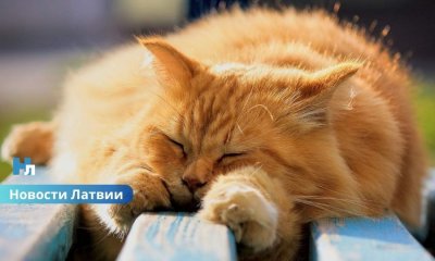 В Латвии впервые с осени зафиксировано +25°C: где установлен температурный рекорд?
