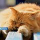 В Латвии впервые с осени зафиксировано +25°C: где установлен температурный рекорд?