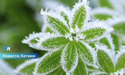 Синоптики предупреждают о ночных заморозках: погода в Латвии резко изменится.