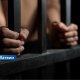 Трагедия в Ропажском крае: мать получила тюремный срок после гибели шестилетней дочери в пруду.