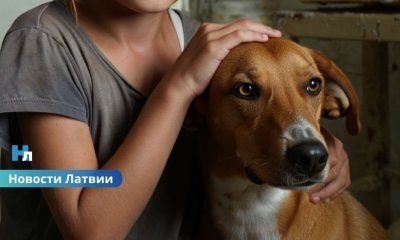 В Риге полиция нашла 11-летнюю девочку в квартире с грязью и животными.