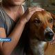 В Риге полиция нашла 11-летнюю девочку в квартире с грязью и животными.