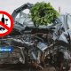 Чтобы Янов венок не превратился в похоронный: службы Латвии выступили с важным предупреждением.
