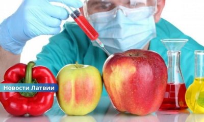 Откроет ли ЕС рынок для новых ГМО? Что на самом деле изменят принятые правила и чего ждать потребителям.