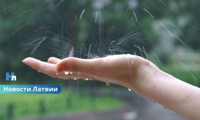 С понедельника Латвию накроют дожди и грозы: синоптики предупреждают о сильных ливнях.
