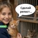 Около 60 животных ждут своего человека: Резекненский приют рассказал, как можно подарить дом тем, кто в этом особенно нуждается.