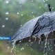 В Латвии объявлено оранжевое предупреждение: ожидаются очень сильные дожди и возможны подтопления.