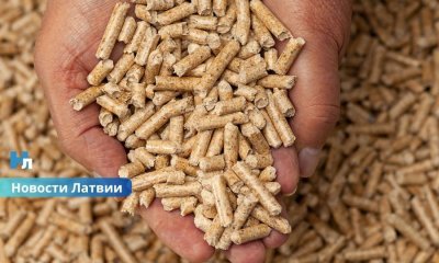 Гранулы дорожают: жители Латвии активно запасаются топливом к зиме.