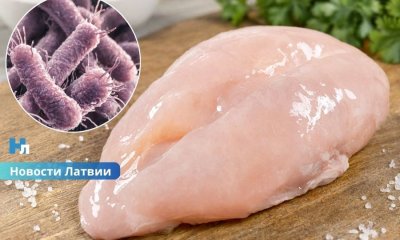 Опасная находка: в польской курятине, продававшейся в Латвии, обнаружили несколько видов сальмонеллы.