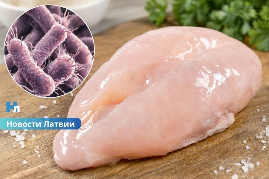 Опасная находка: в польской курятине, продававшейся в Латвии, обнаружили несколько видов сальмонеллы.