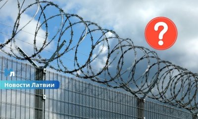 Латвия оказалась в центре миграционного давления: почему поток нелегалов резко сместился к границе с Беларусью.