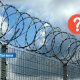 Латвия оказалась в центре миграционного давления: почему поток нелегалов резко сместился к границе с Беларусью.