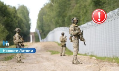 Инцидент на границе с Беларусью: агрессивная группа забросала военных бревнами, последовал предупредительный выстрел.