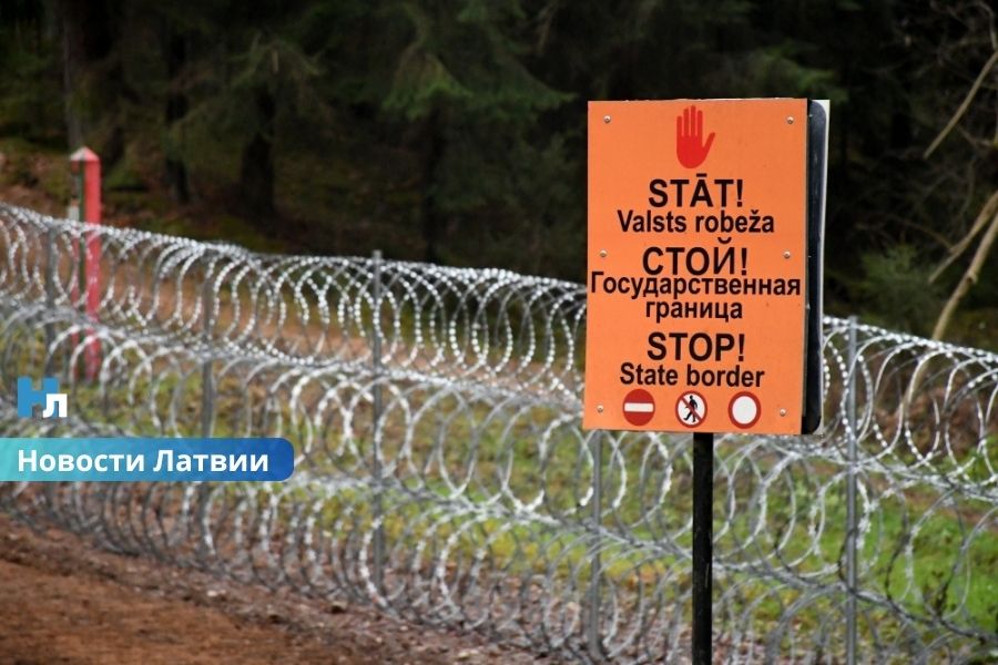Эстония усиливает помощь Латвии: на границу направят дополнительных пограничников из-за потока мигрантов.