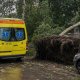 Разрушительная буря в Латвии: 14 человек пострадали, некоторые получили тяжёлые травмы.