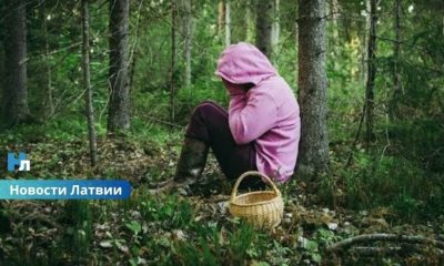 Грибной сезон в Латвии уже привёл к десяткам поисковых операций: спасатели разыскивали 28 человек.