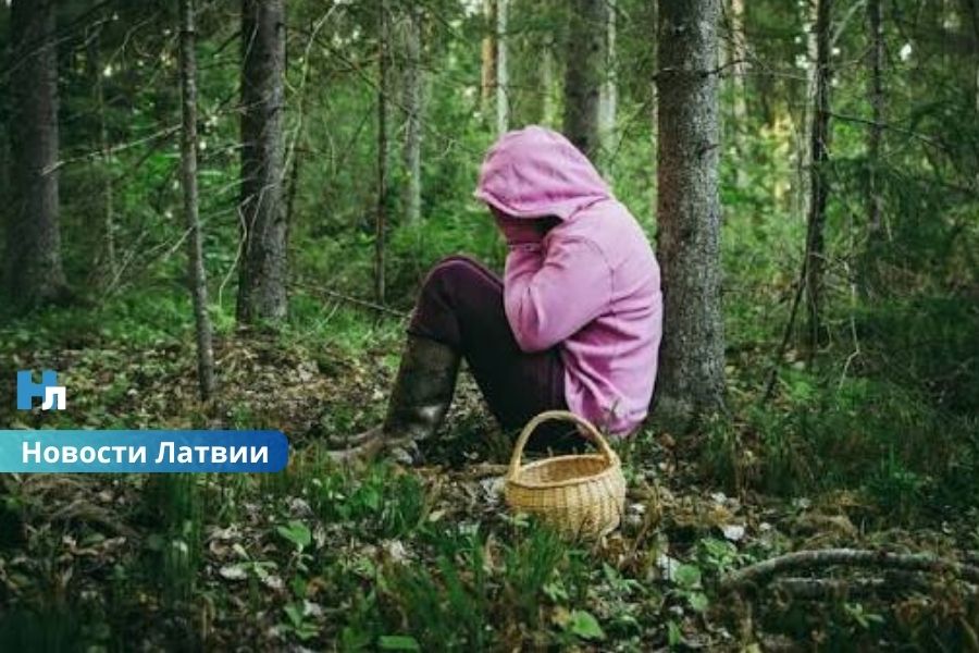 Грибной сезон в Латвии уже привёл к десяткам поисковых операций: спасатели разыскивали 28 человек.