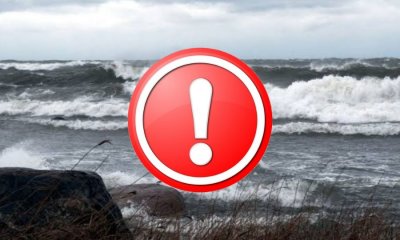 Телефоны предупредили об опасности: на побережье Курземе ожидается ветер до 29 м/с.