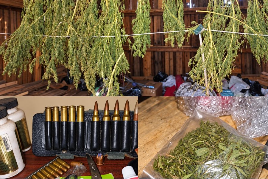 В доме и теплице в Латгалии нашли плантацию марихуаны: задержан мужчина.